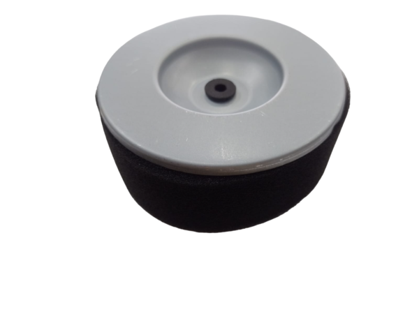 Filtro De Aire Para Motor Diesel 170 F