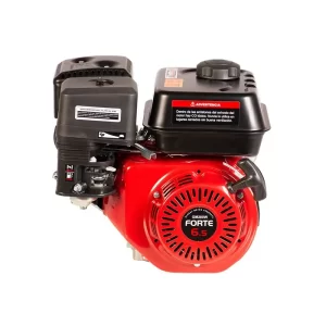 Motor Forte Gm270fd 9 Hp A Gasolina Eje De Cuña A 3600 Rpm