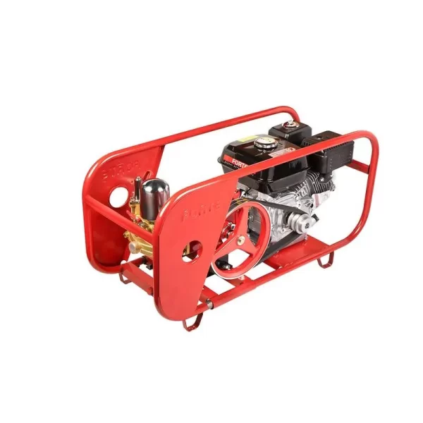 Fumigadora Estacionaria Forte Gasolina 6.5 Hp Tf30nef-gm200 - Imagen 2