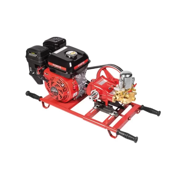 Fumigadora Estacionaria Forte 6.5 Hp Gasolina Tf30ne-gm200k