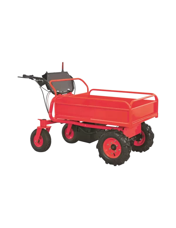 Oruga De Carga Electrica Advance Capacidad 500 Kilos Hora